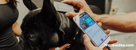 nfc dog chip reader|chipped pet app.